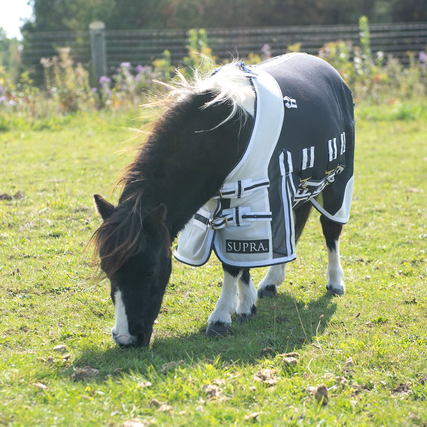 Supra Miniature Fly Sheet W/ Belly Band & Fly Mask