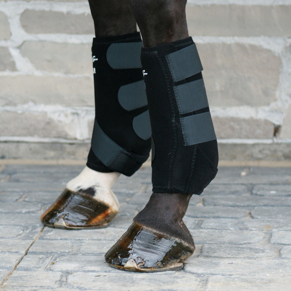 Professional's Choice SMBII 200 Boots