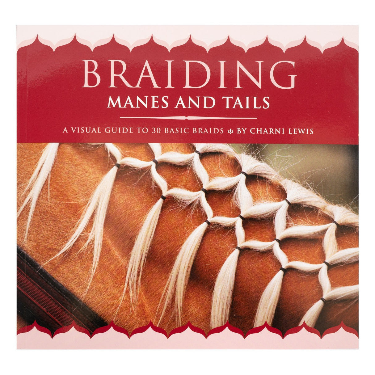 Braiding Manes & Tails