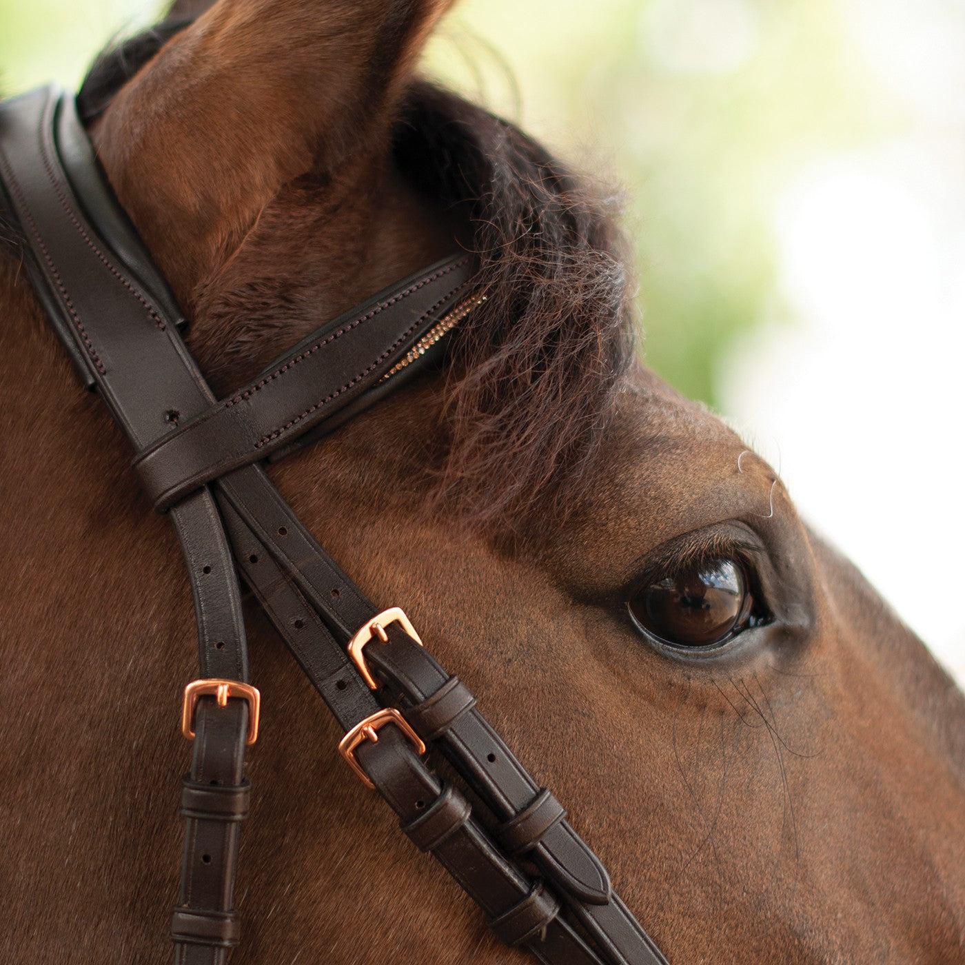Mondega Natasha Rose Gold Sparkle Bridle