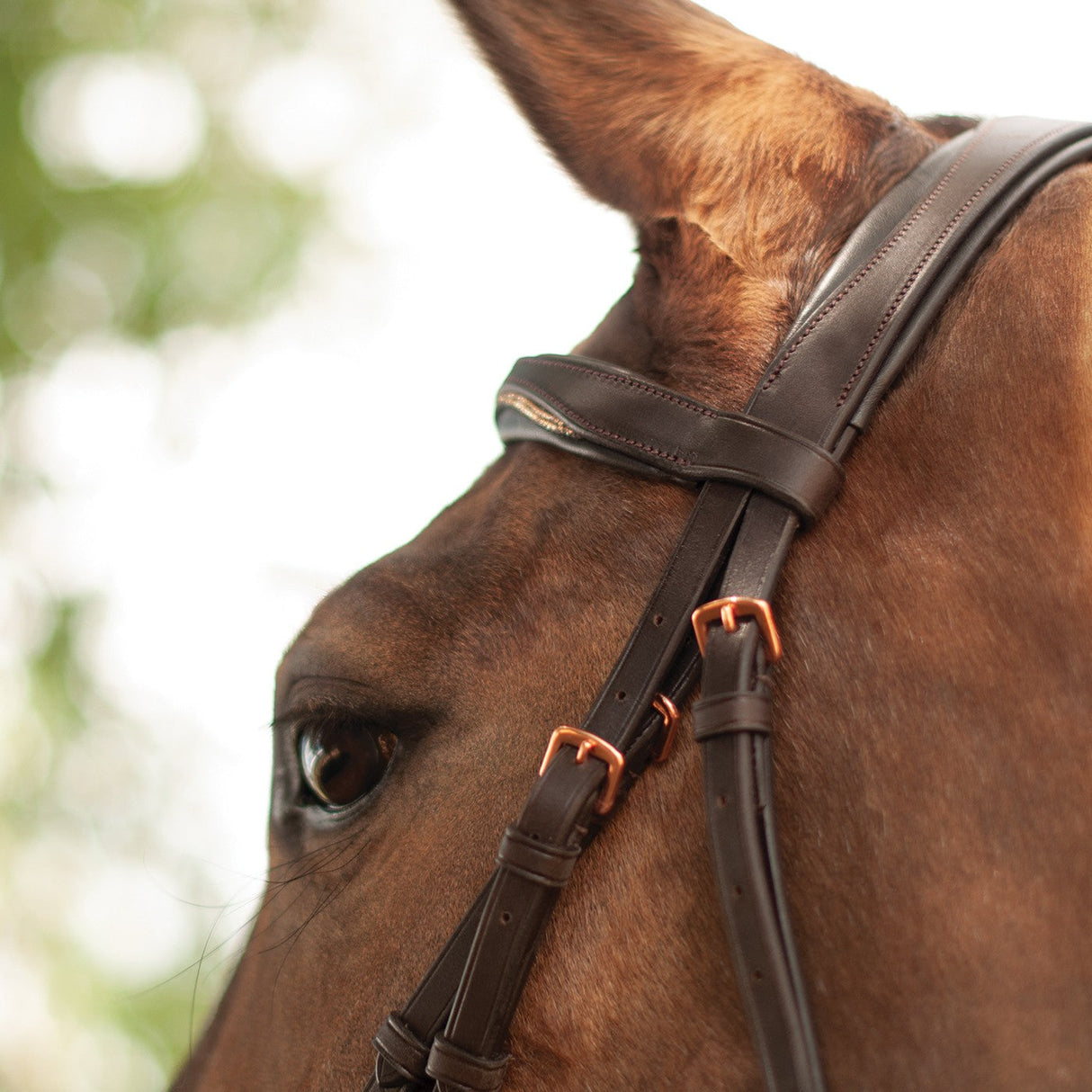 Mondega Natasha Rose Gold Sparkle Bridle