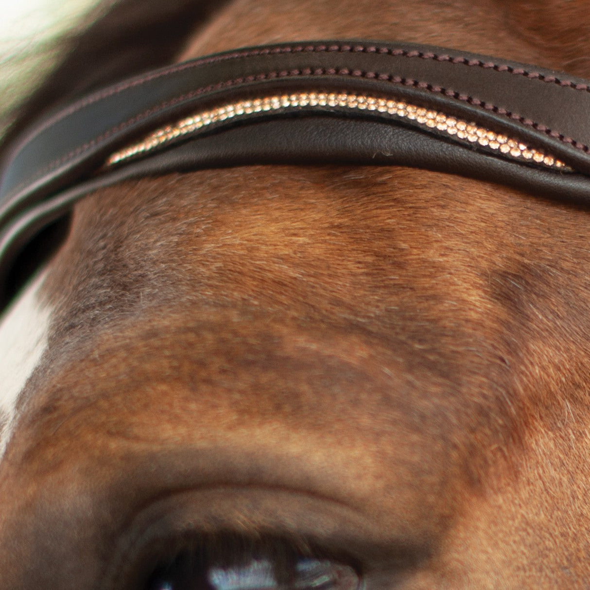 Mondega Natasha Rose Gold Sparkle Bridle