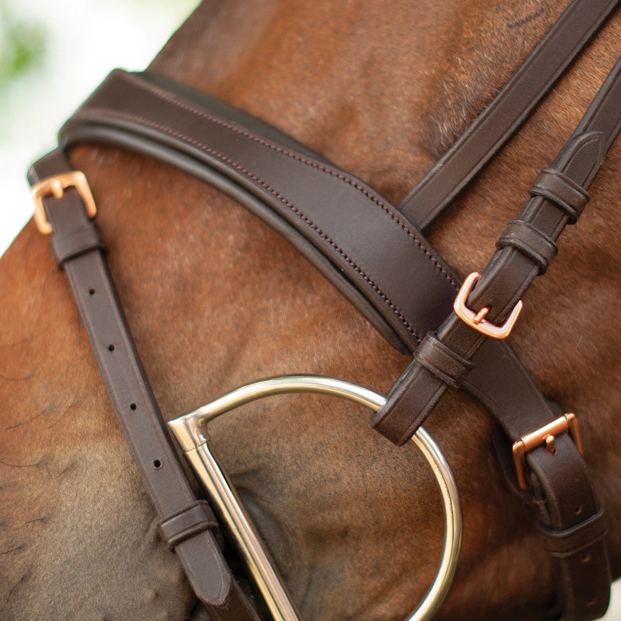 Mondega Natasha Rose Gold Sparkle Bridle