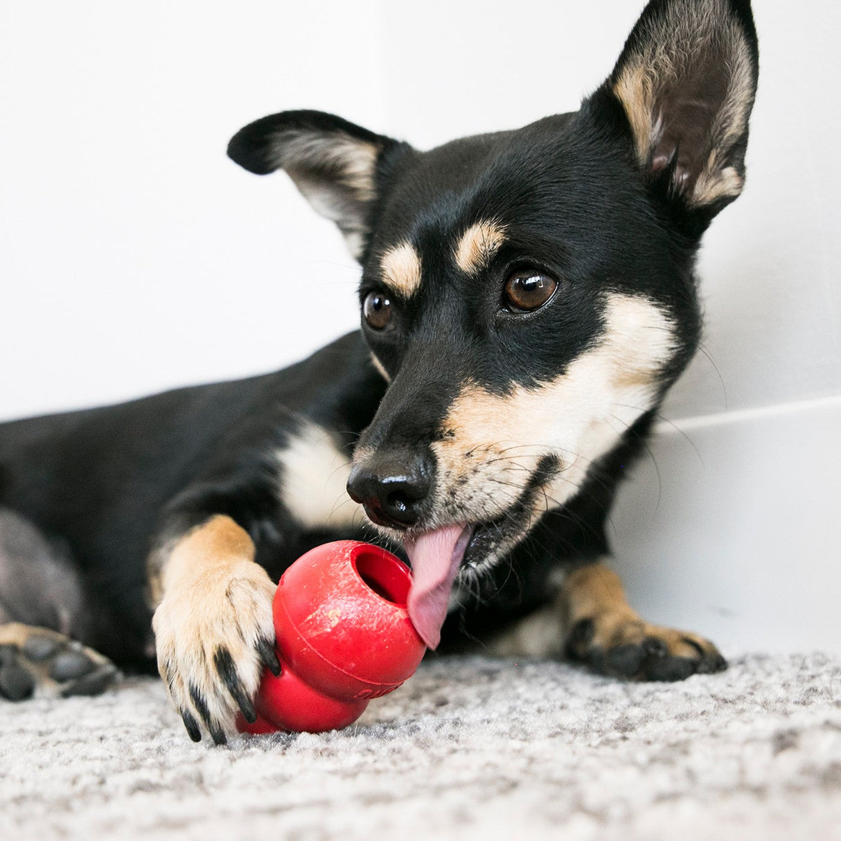 Kong Classic Dog Toy