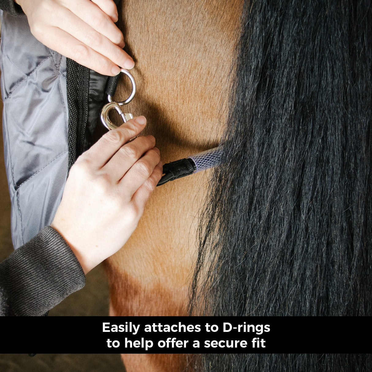 Shedrow Tail Cord Replacement