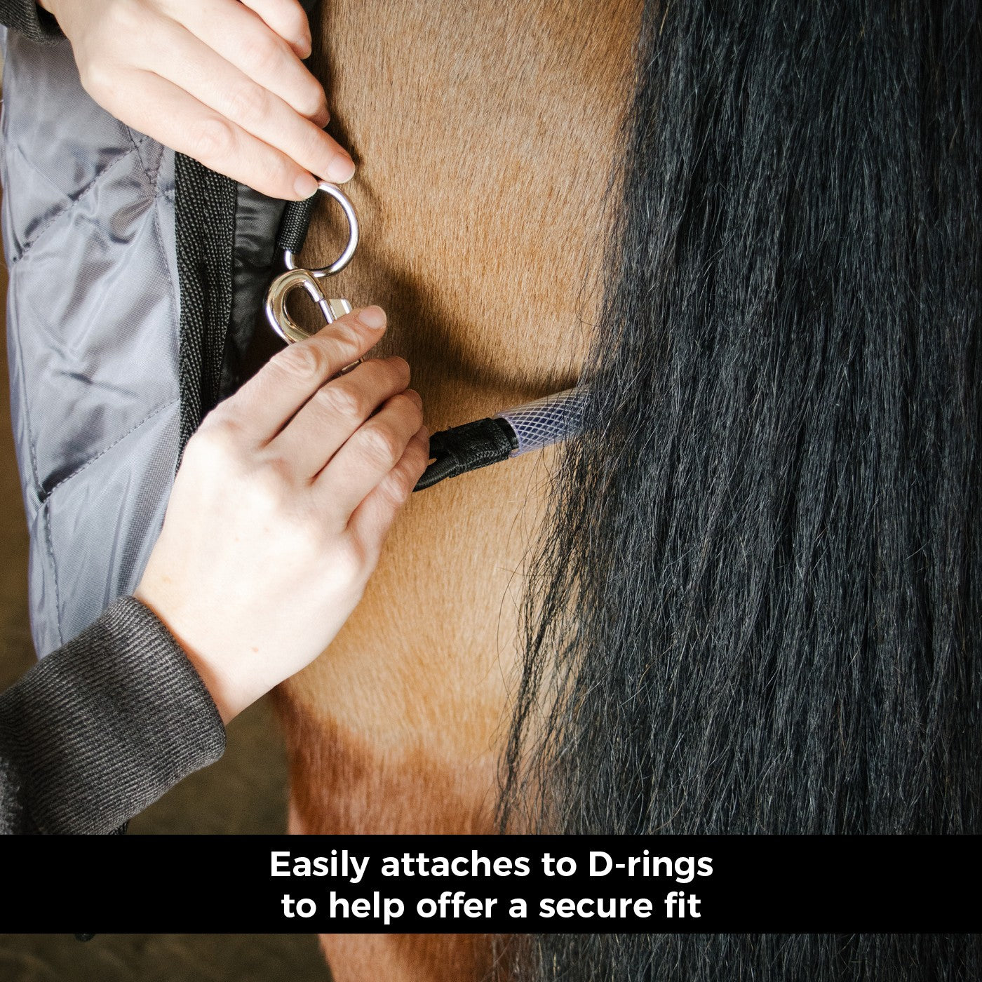 Shedrow Tail Cord Replacement