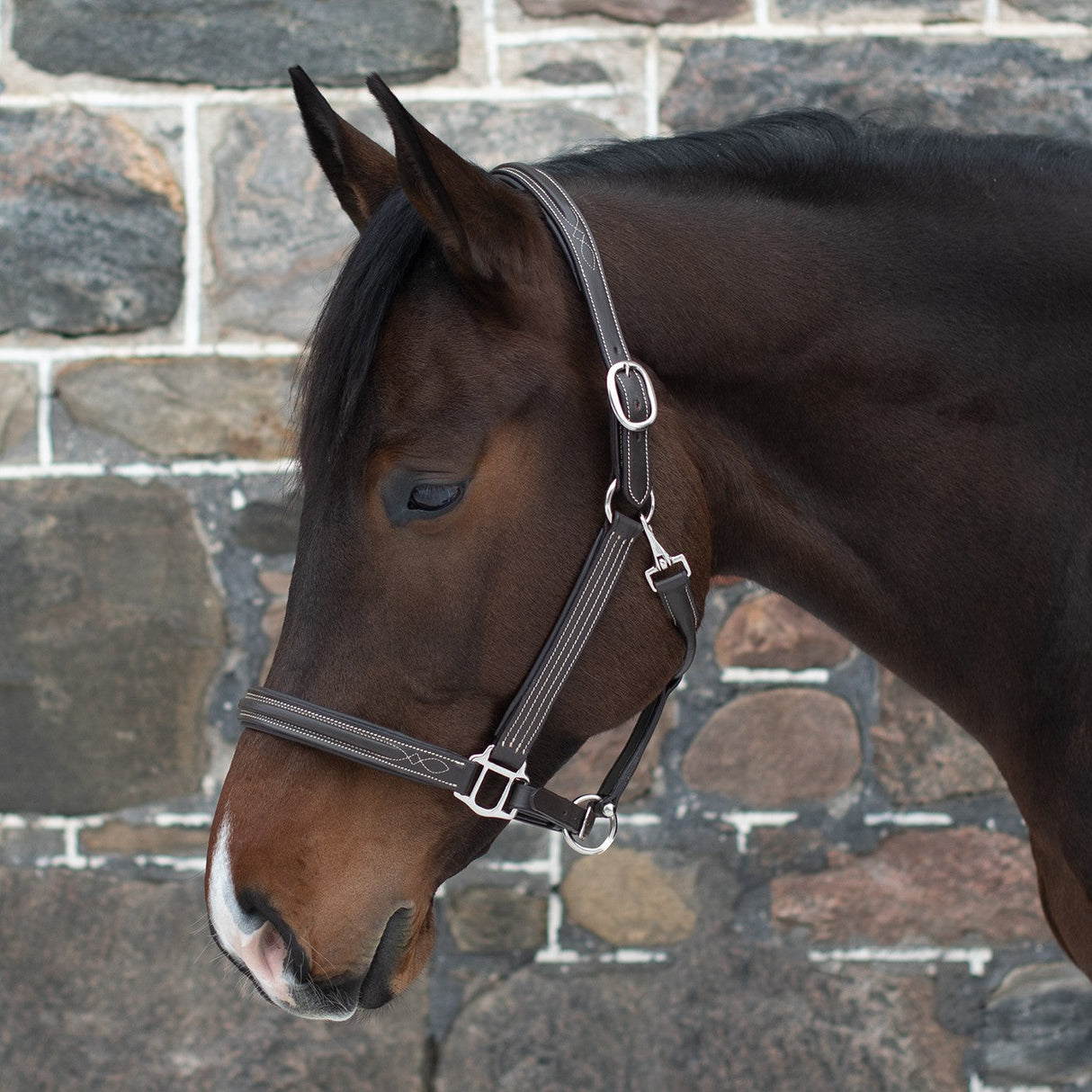 Mondega Raised Fancy Stitched Halter