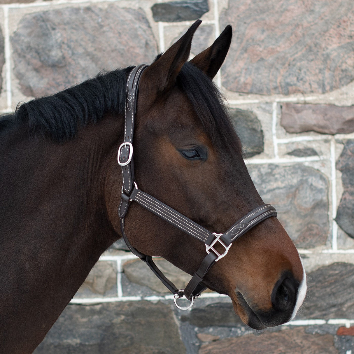 Mondega Raised Fancy Stitched Halter