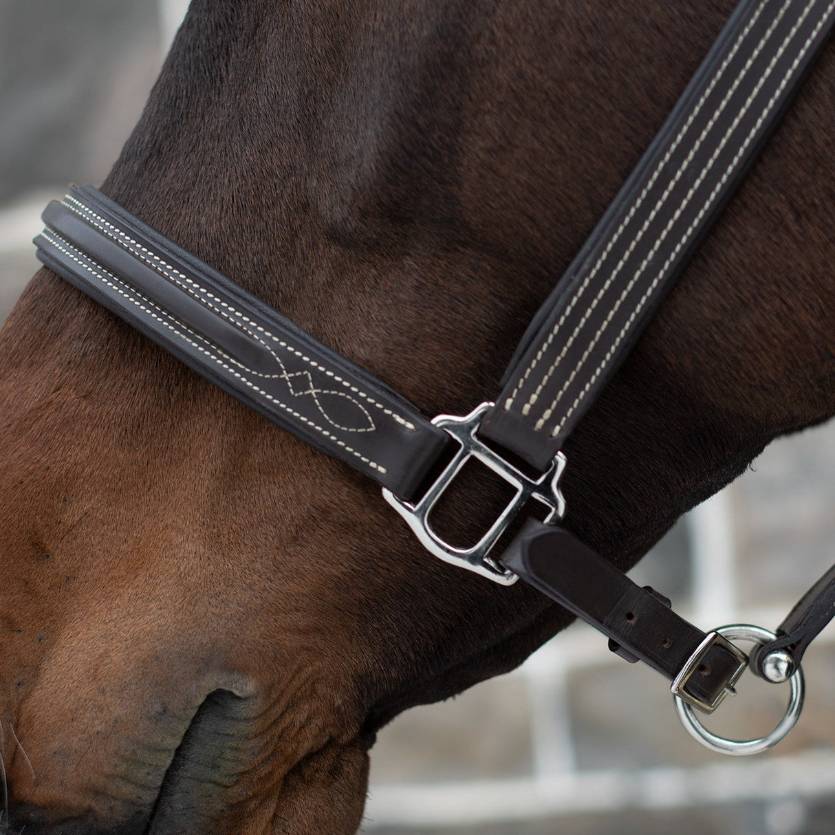 Mondega Raised Fancy Stitched Halter