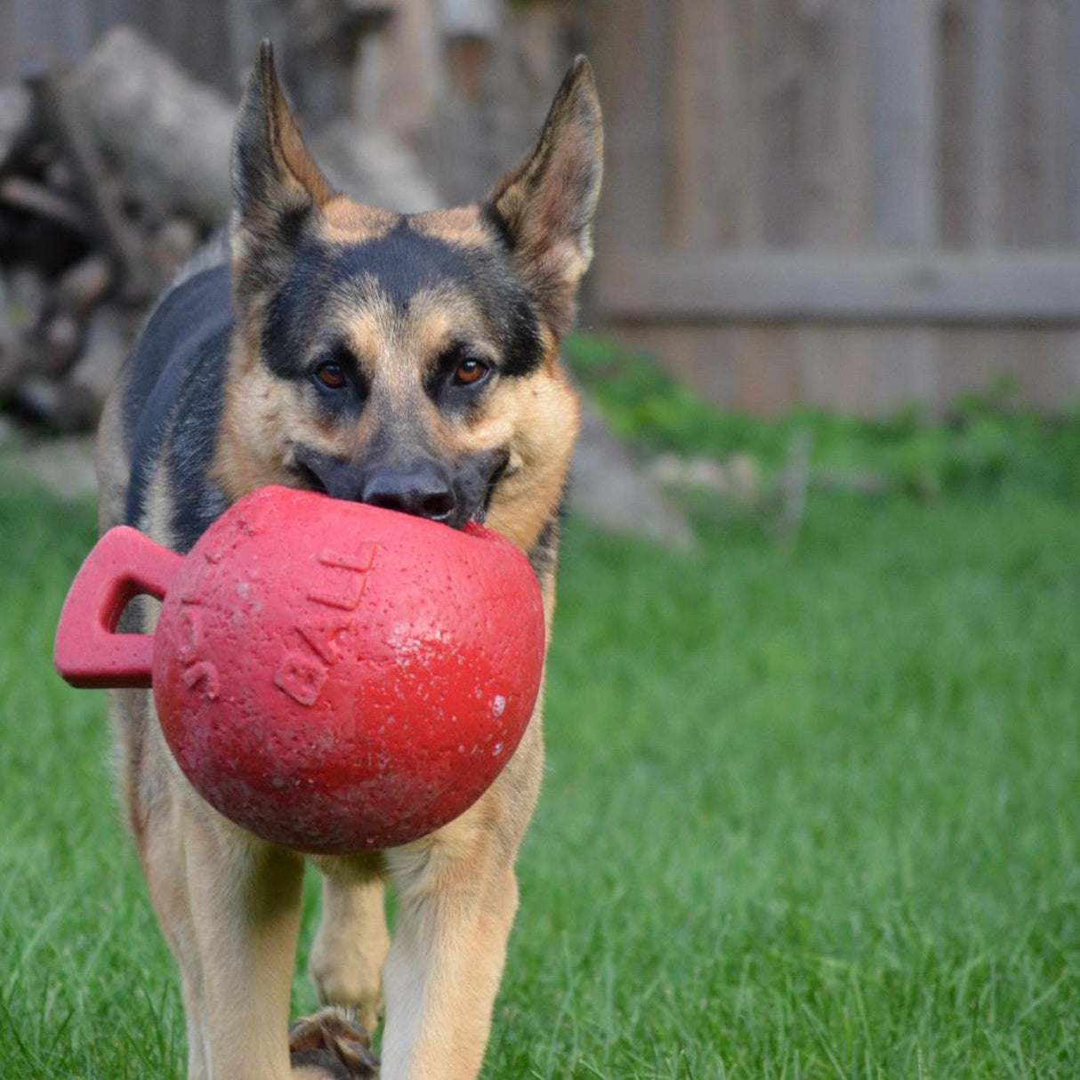 Horsemen's Pride Tug-n-Toss Jolly Ball - 10 in.