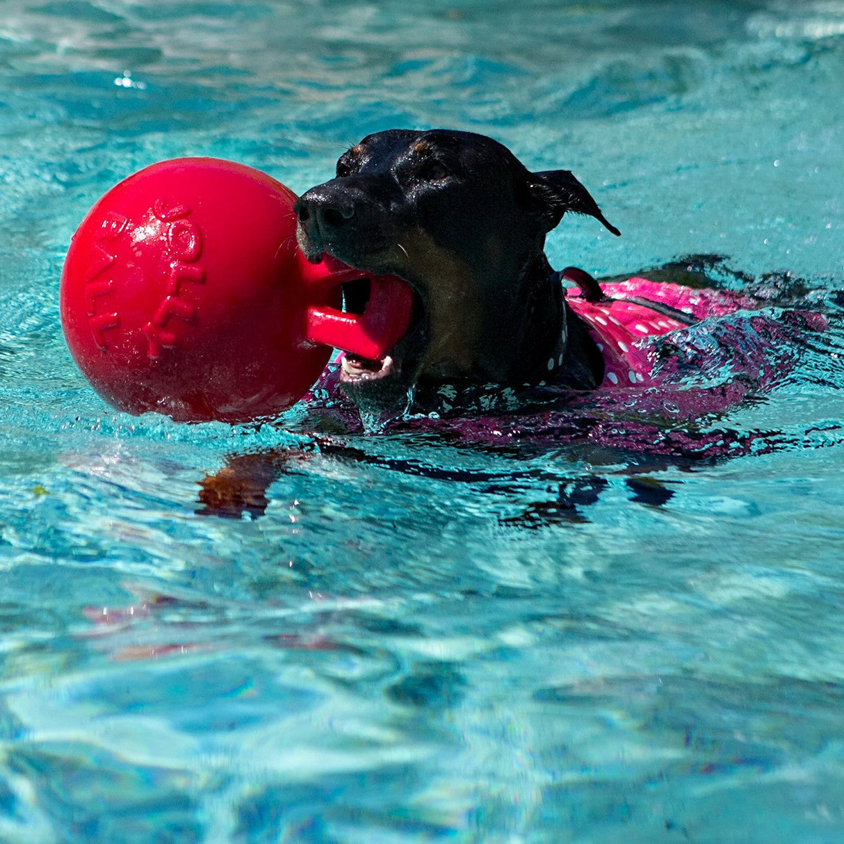 Horsemen's Pride Tug-n-Toss Jolly Ball - 10 in.