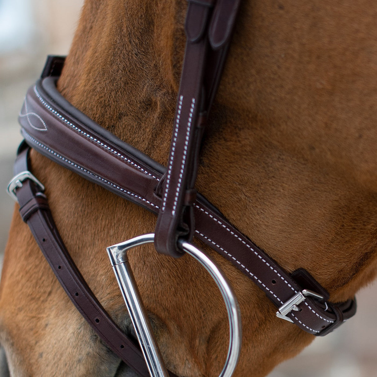Mondega Liberica Fancy Stitched Hunter Bridle