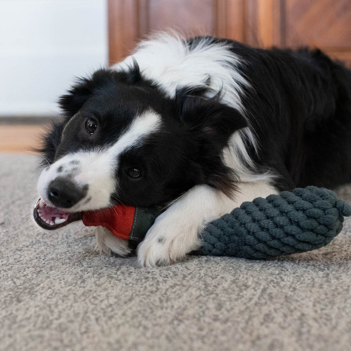 Shedrow K9 Duck Rope & Water Bottle Dog Toy