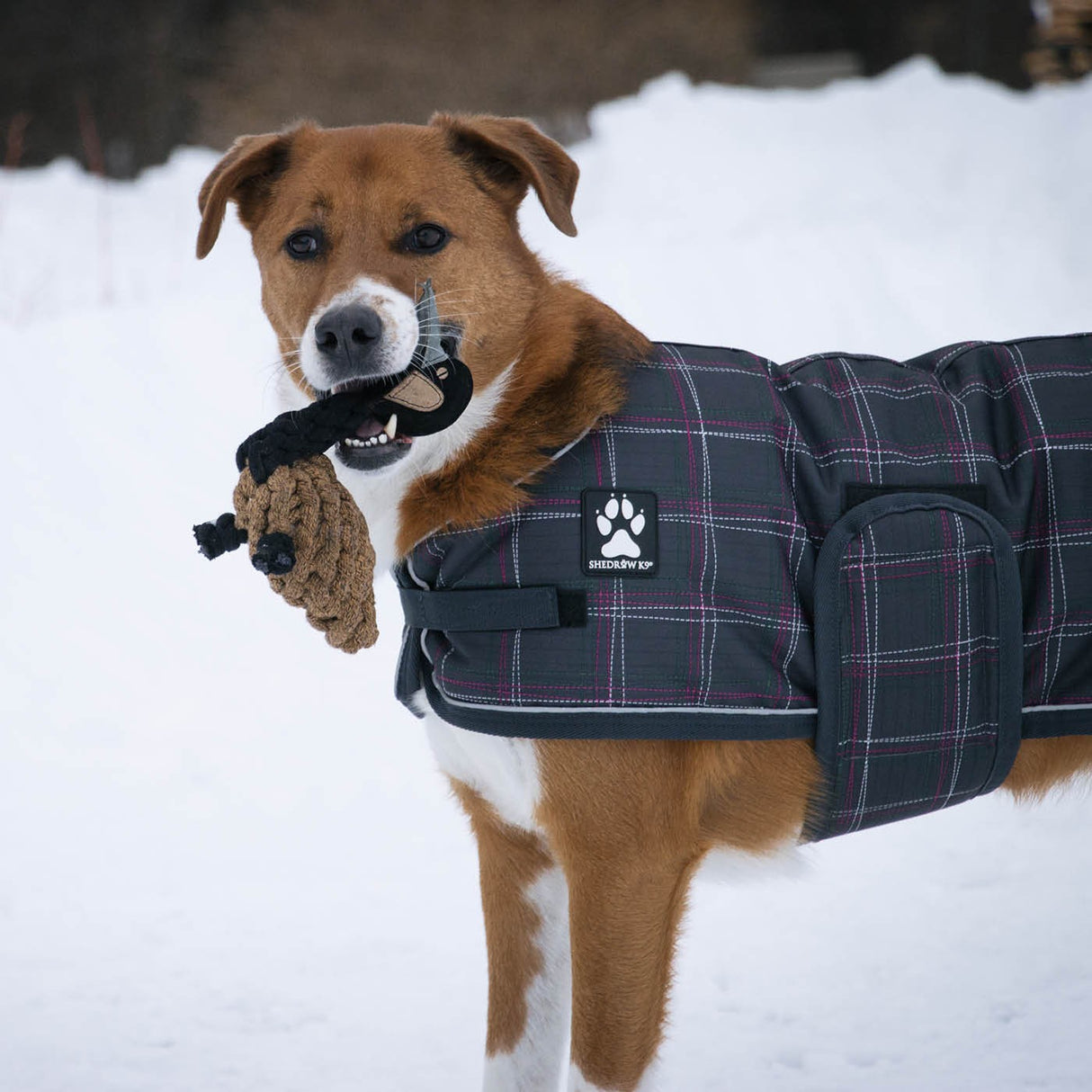 Shedrow K9 Goose Rope Dog Toy