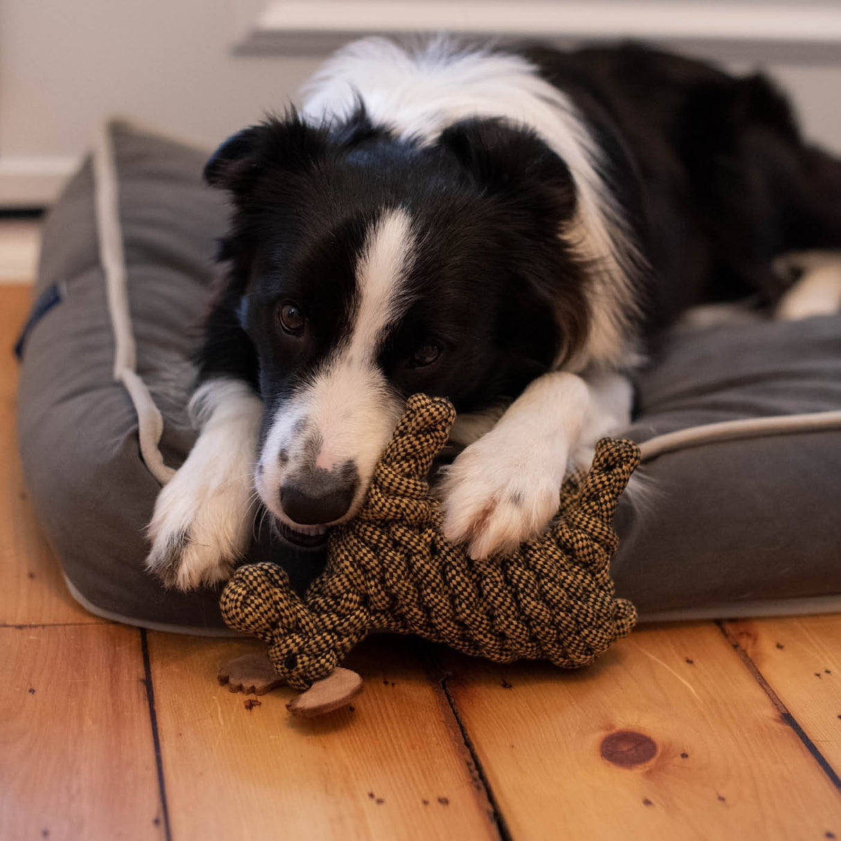 Shedrow K9 Moose Rope Dog Toy