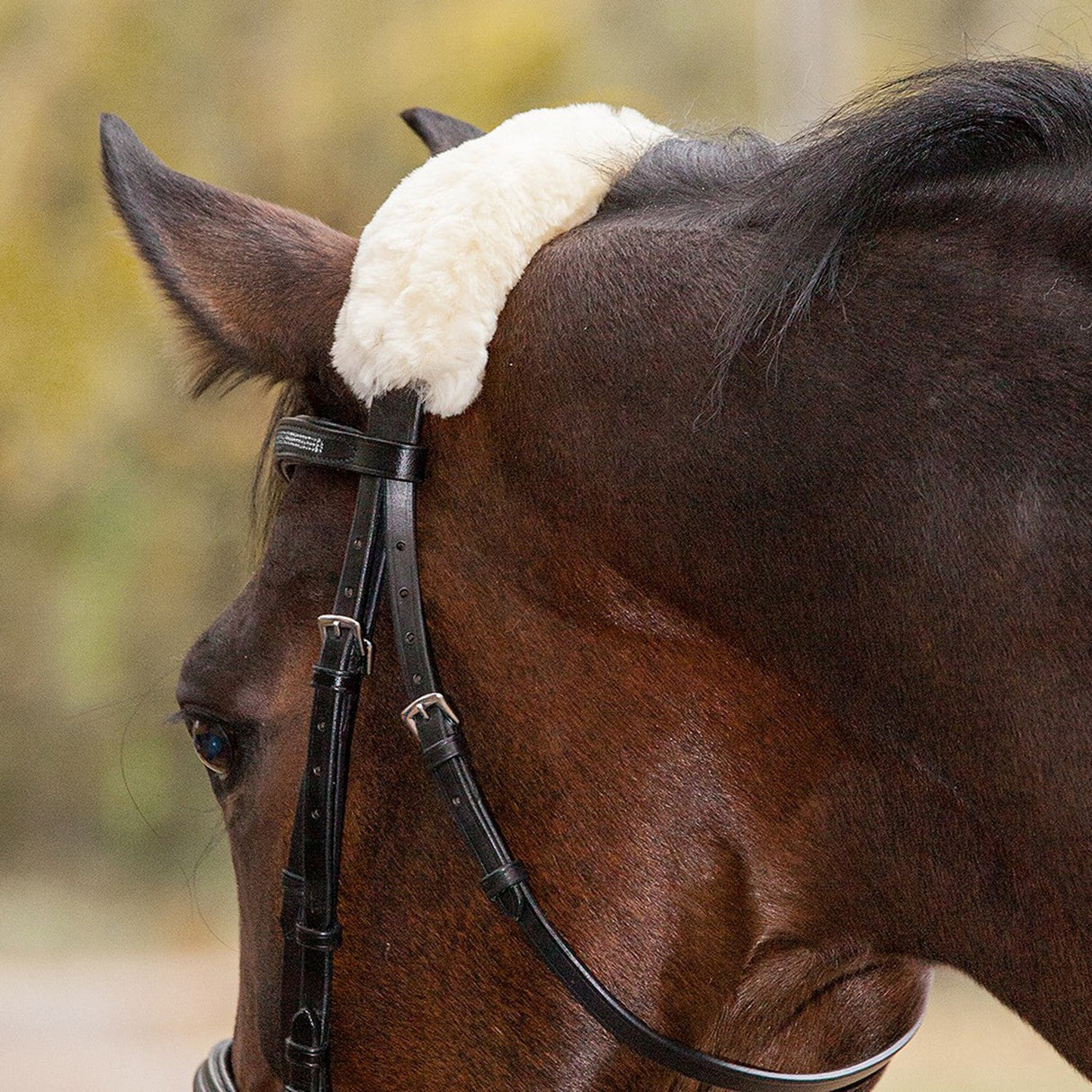 Waldhausen Lambskin Noseband & Headpiece Cushioning