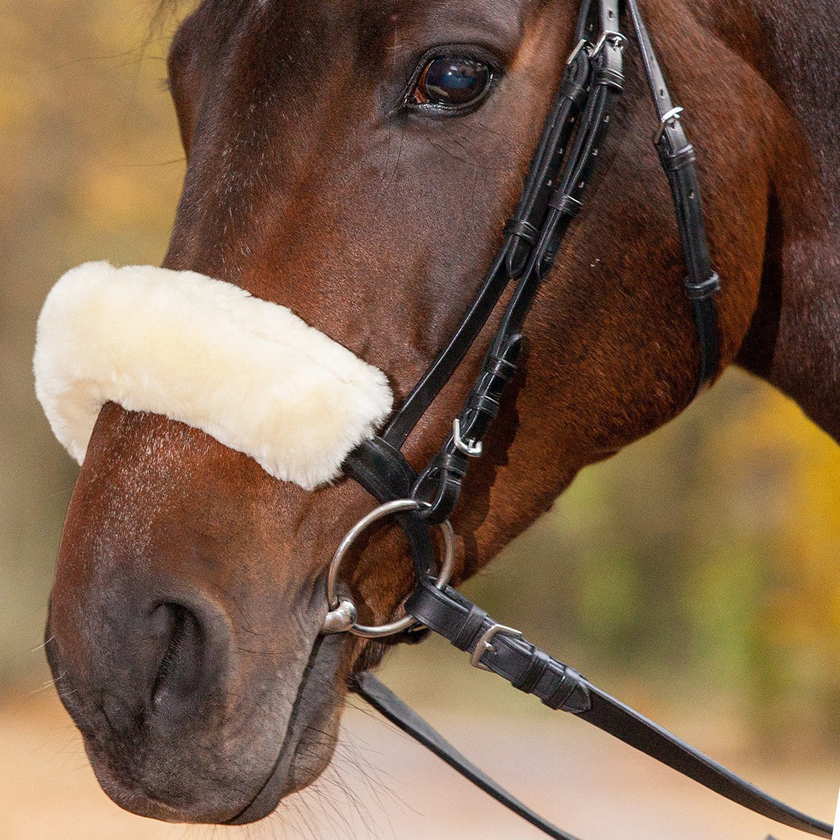 Waldhausen Lambskin Noseband & Headpiece Cushioning