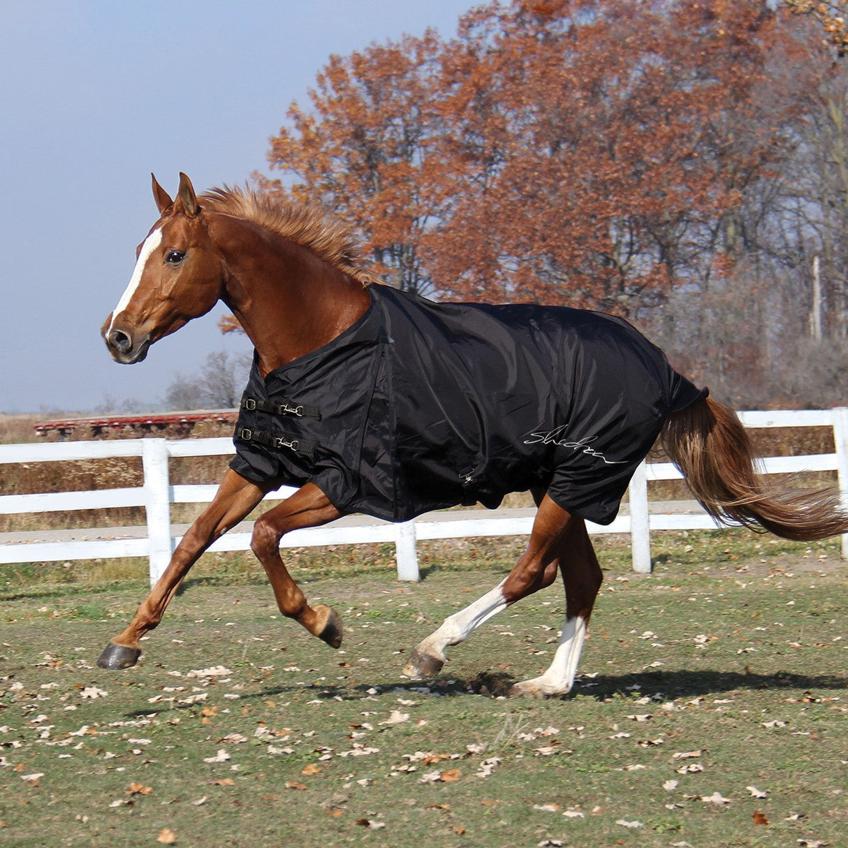 Shedrow Insulated Rainsheet