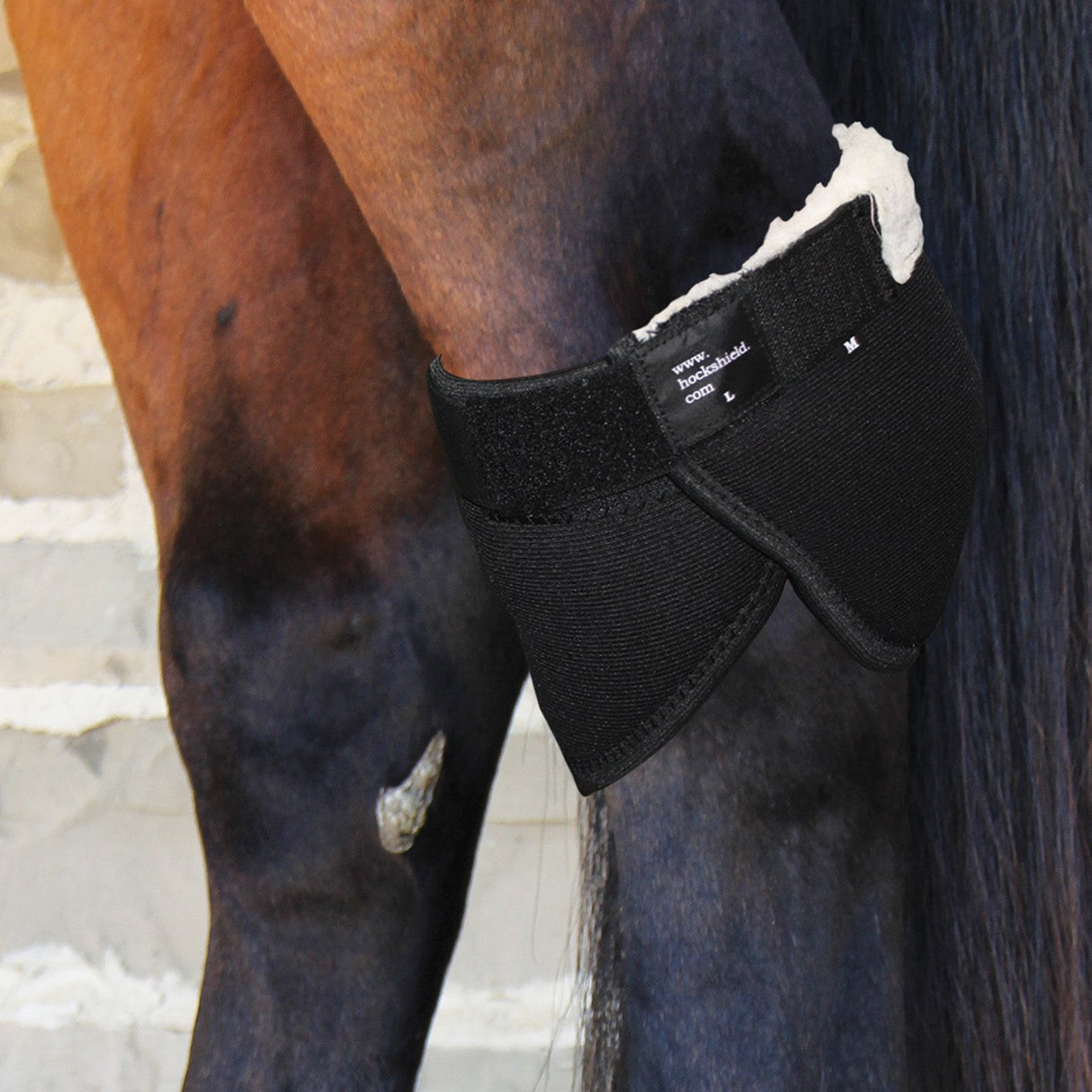 Hock Shield Ultra Boots