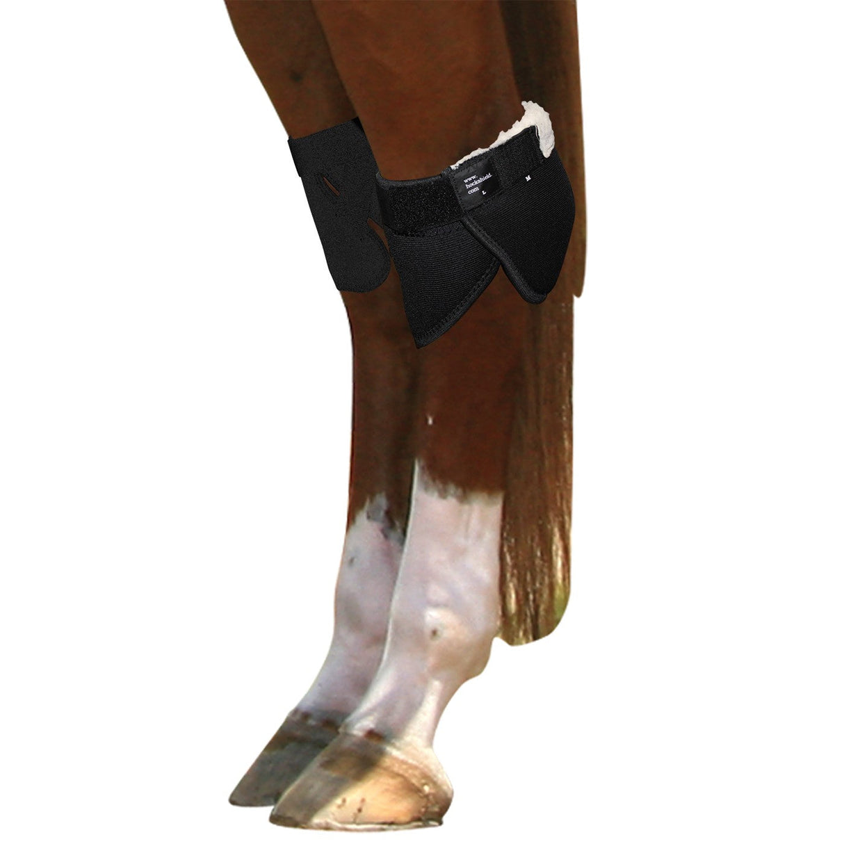 Hock Shield Ultra Boots