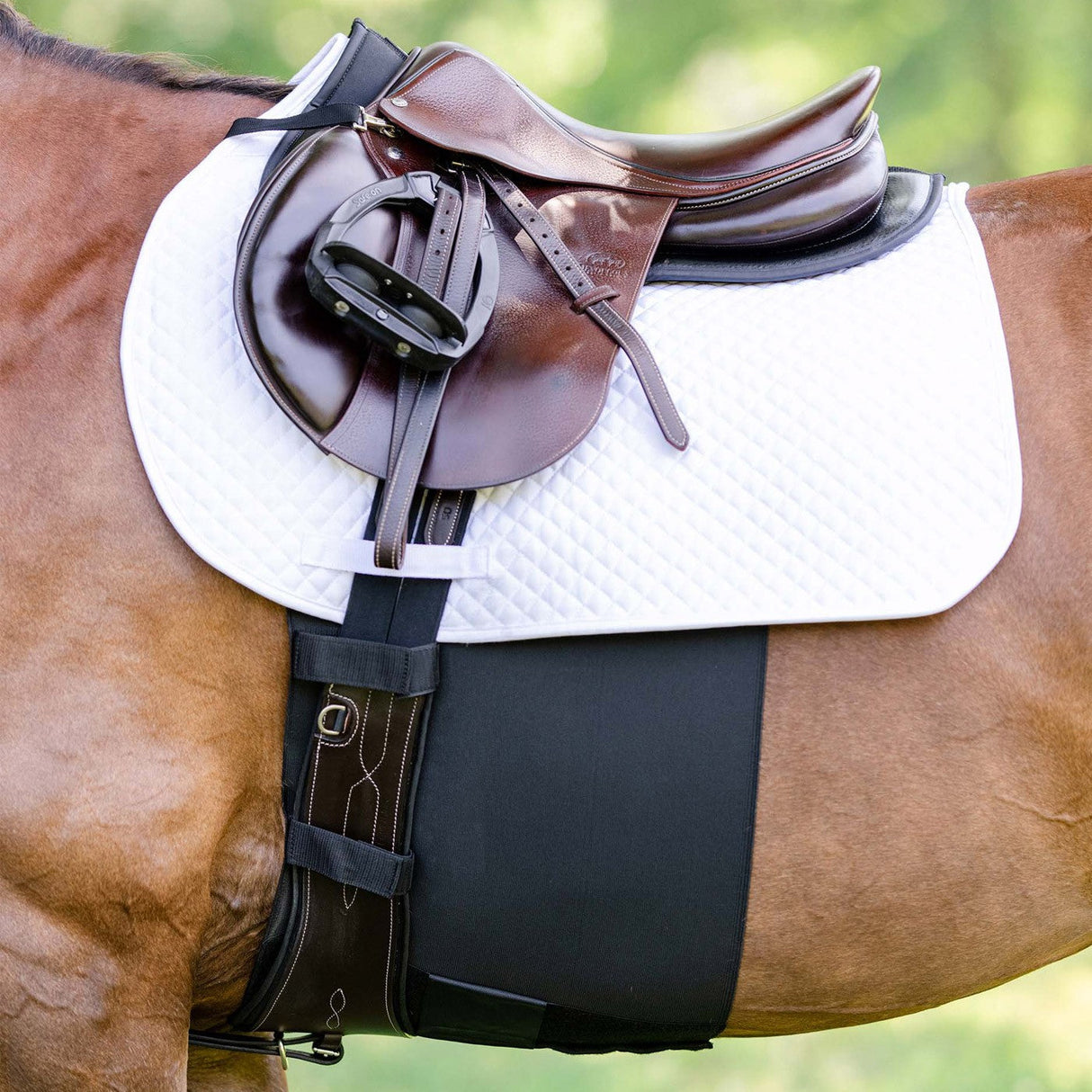 EquiFit BellyBand+