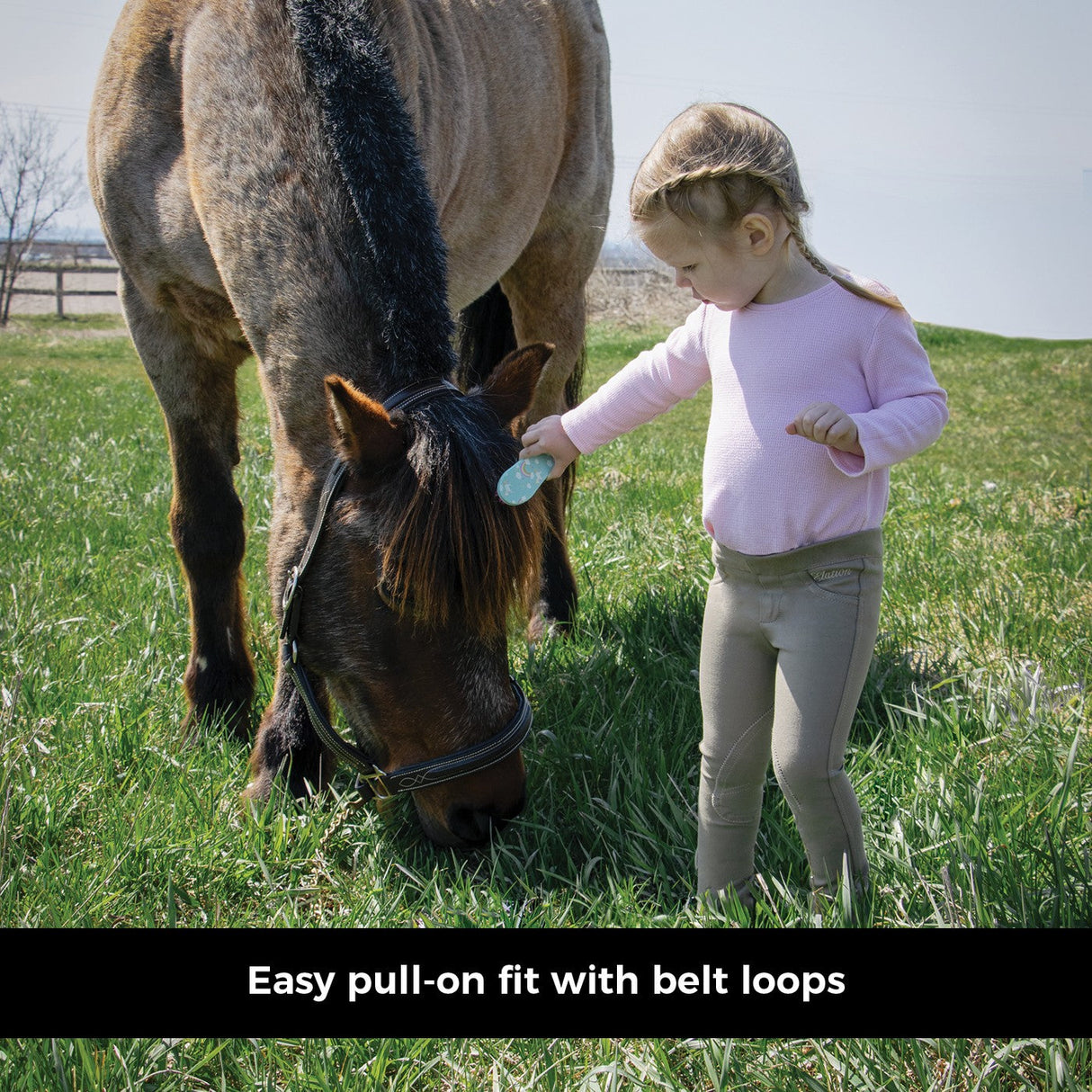 Elation Red Label Sport Jodhpur