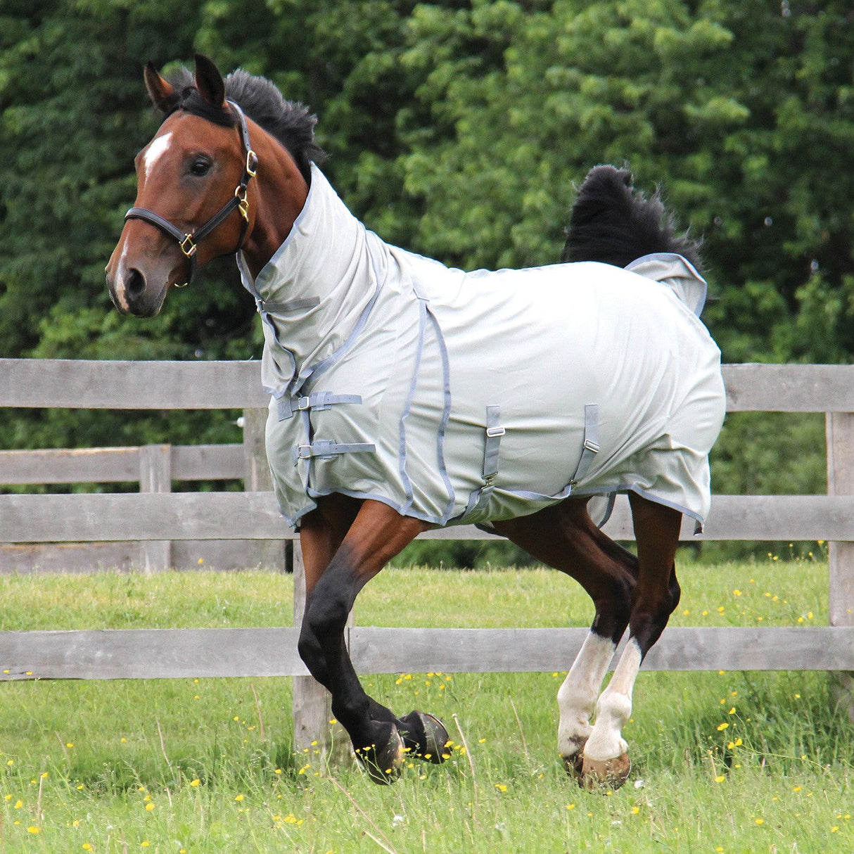 Supra Full Neck Mesh Fly Sheet