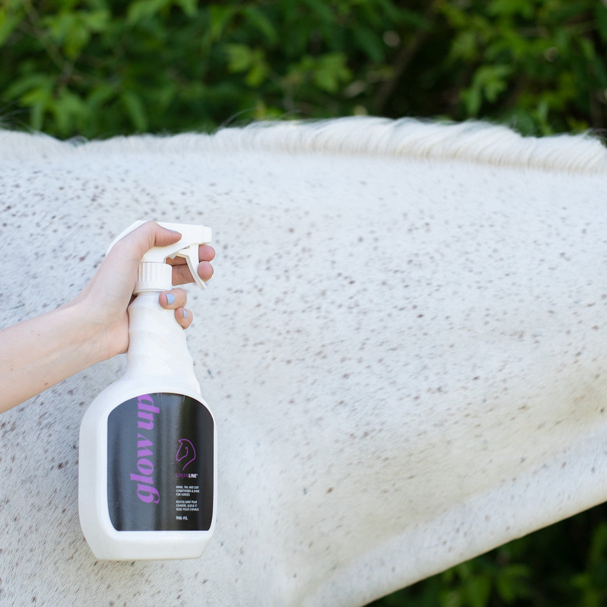 Greenline Glow Up Spray Polish 32 oz.