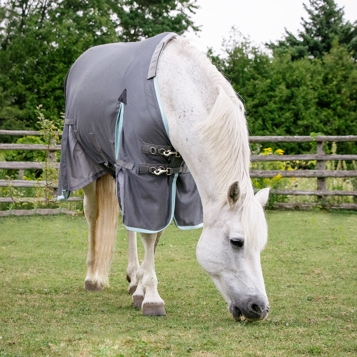 Swift Pony Fly Sheet W/ Detachable Hood