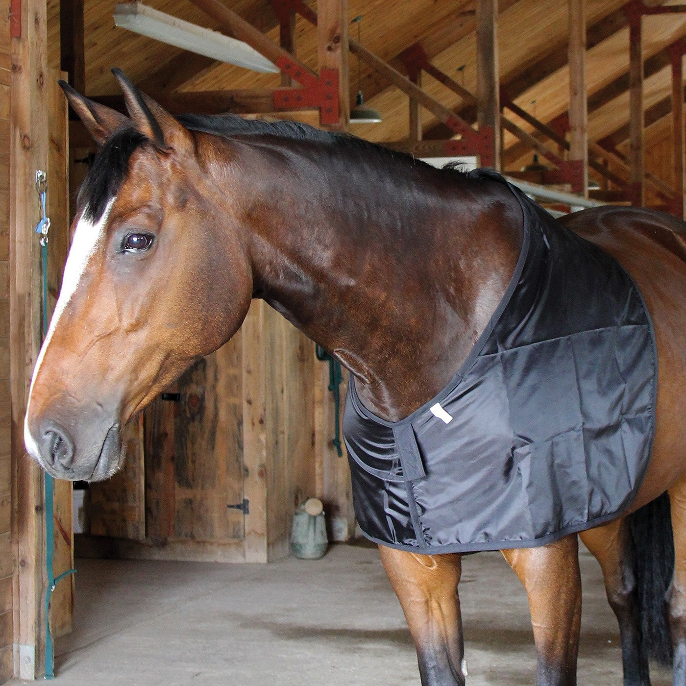 Shedrow Lightweight Shoulder Bib