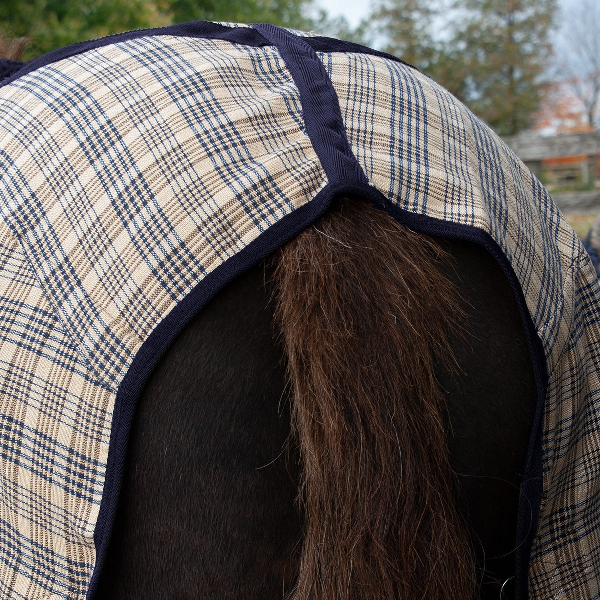 Shedrow Heavyweight Plaid Blanket