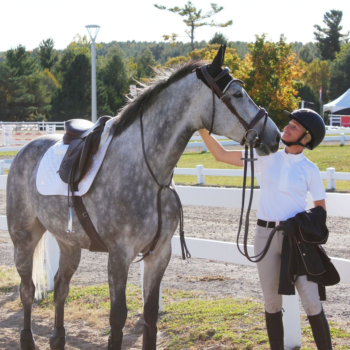 Elation Platinum Florence Short Sleeve Show Shirt
