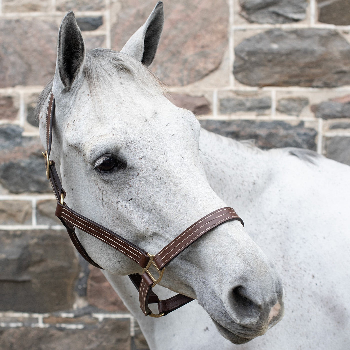 Val du Bois Triple Stitch Leather Halter