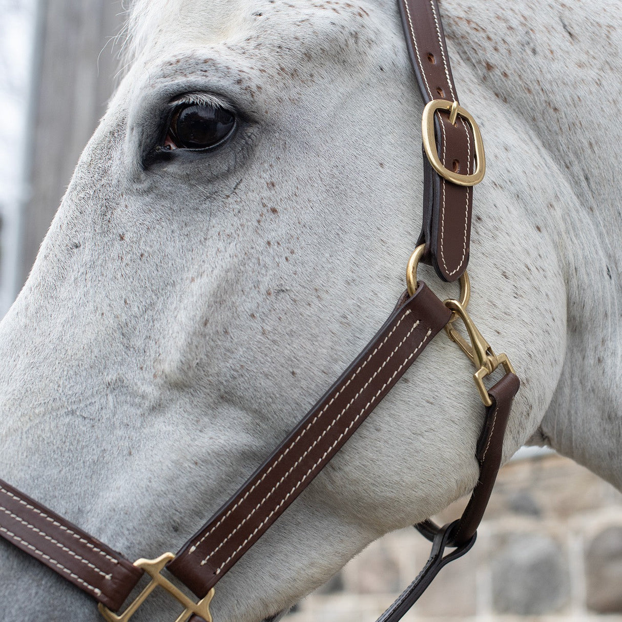 Val du Bois Triple Stitch Leather Halter