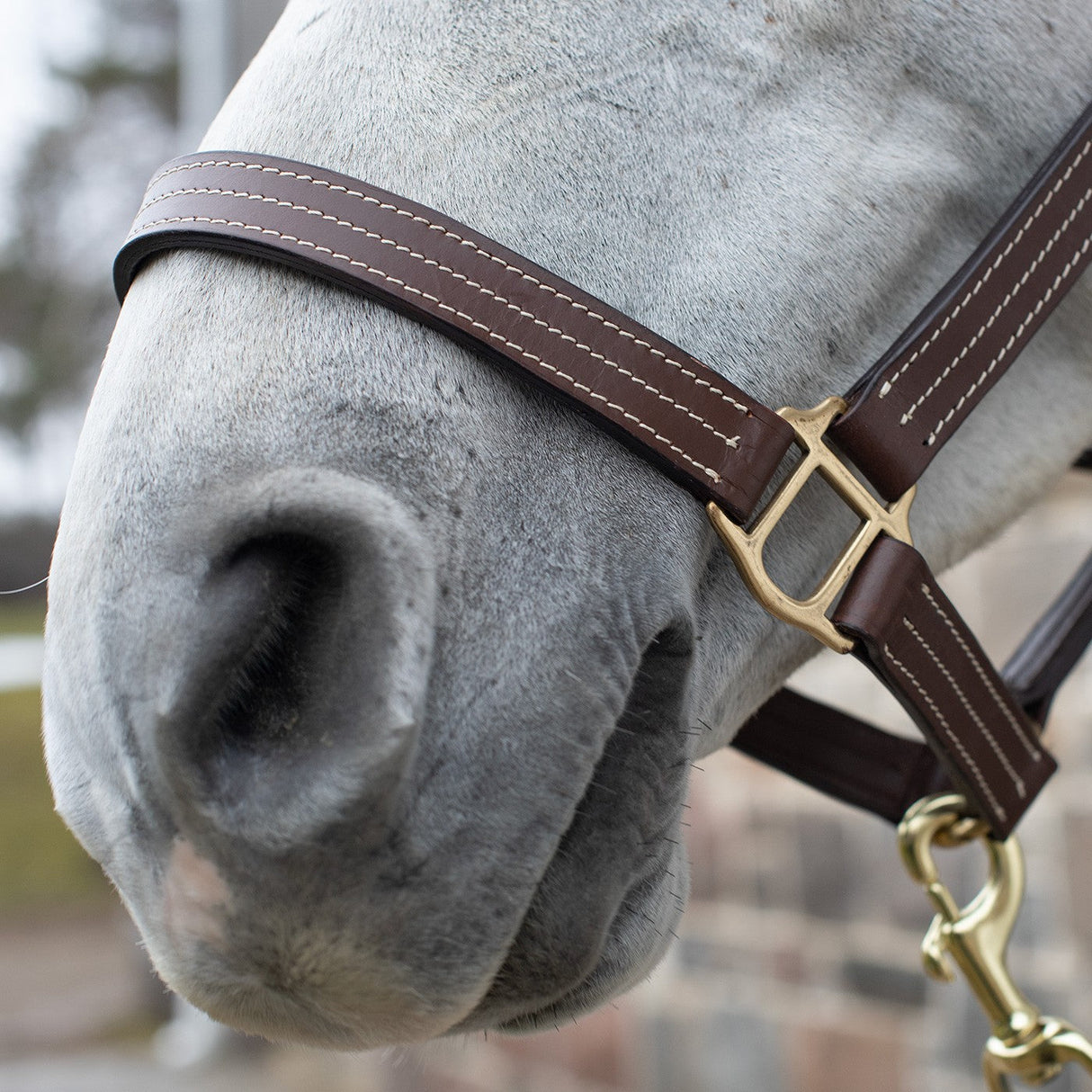 Val du Bois Triple Stitch Leather Halter