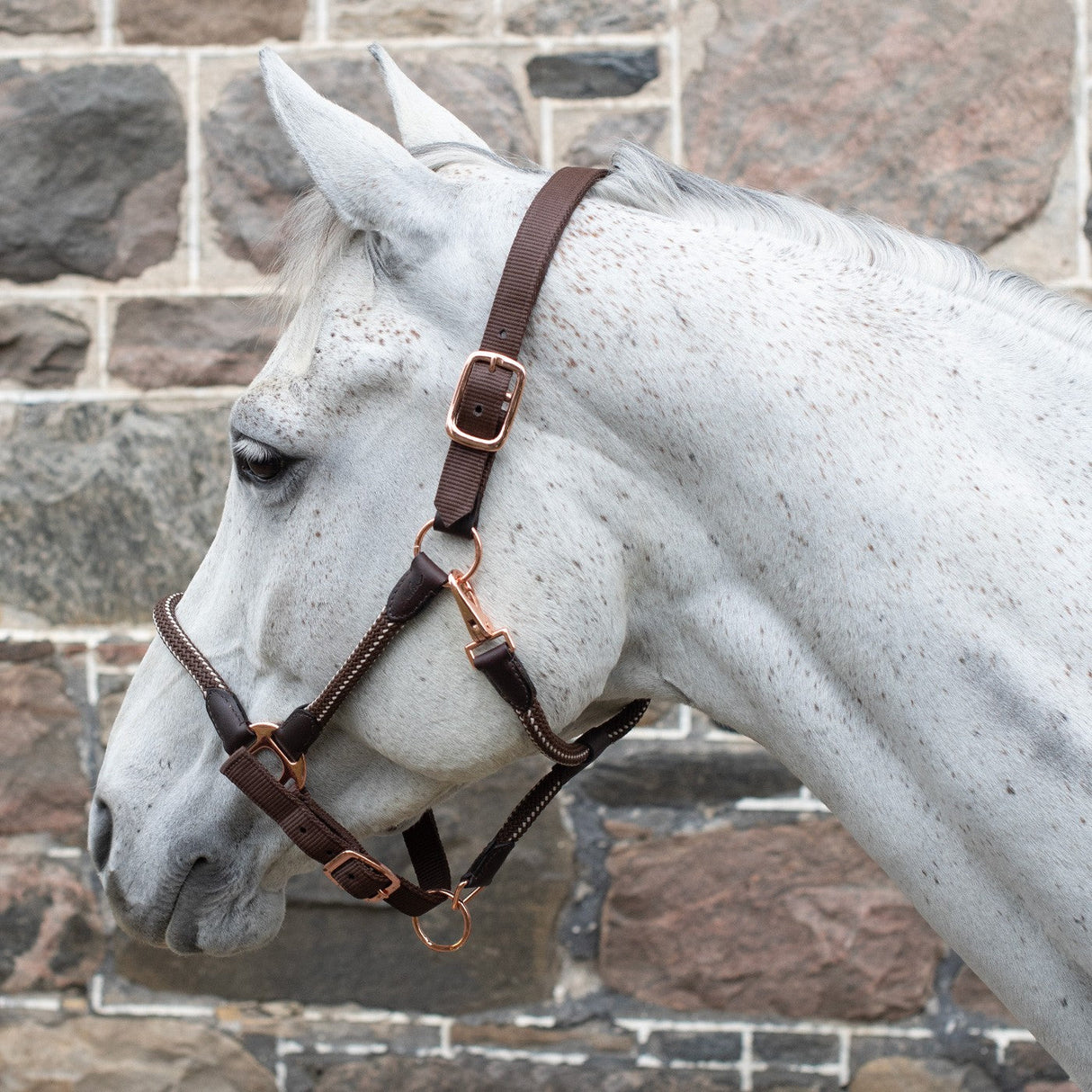 Shedrow Rose Gold Nylon & Leather Halter