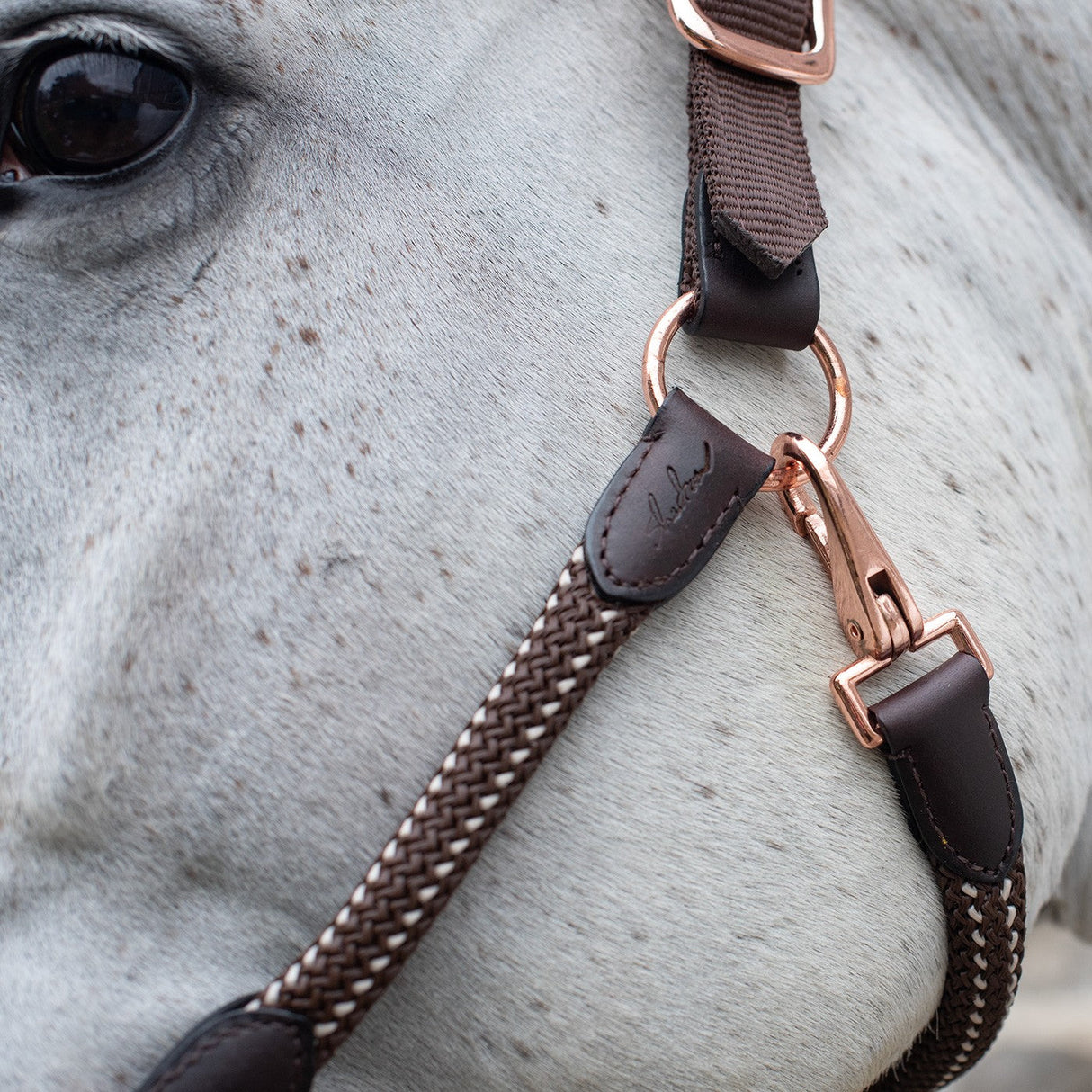 Shedrow Rose Gold Nylon & Leather Halter