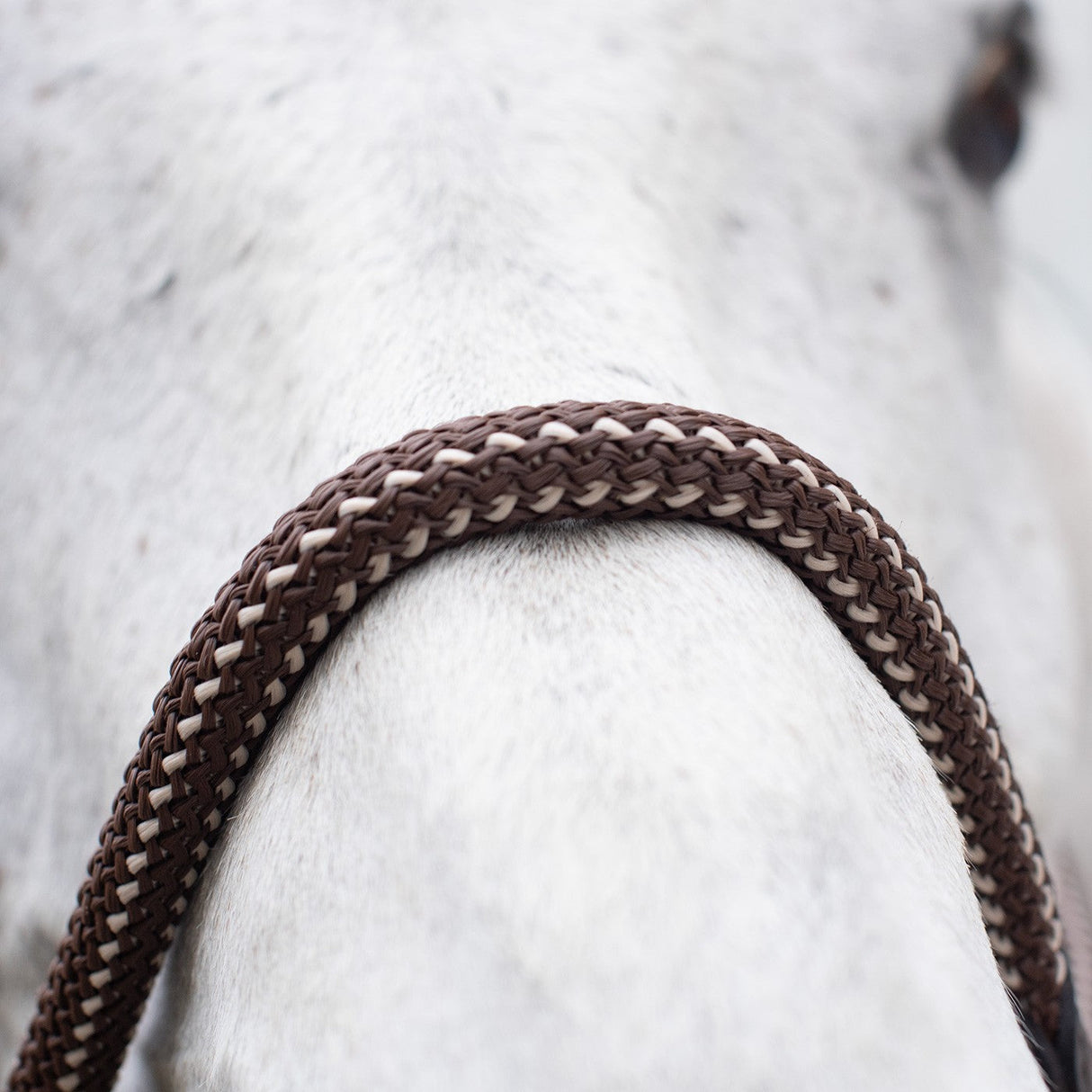 Shedrow Rose Gold Nylon & Leather Halter
