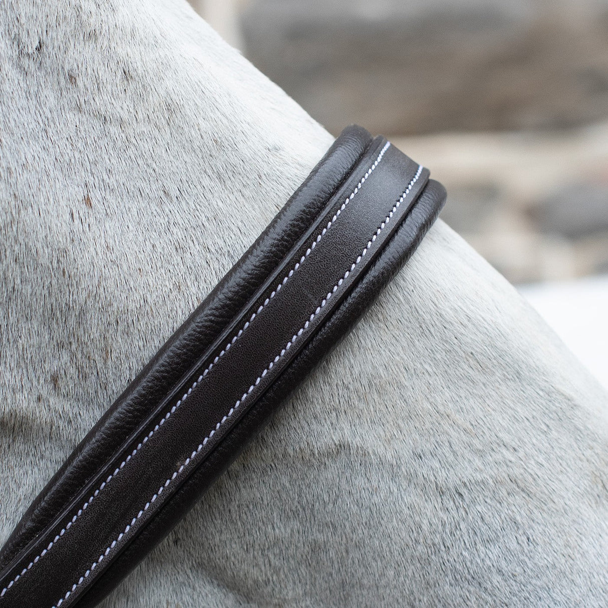 Val du Bois Comfort Soft Padded Leather Halter