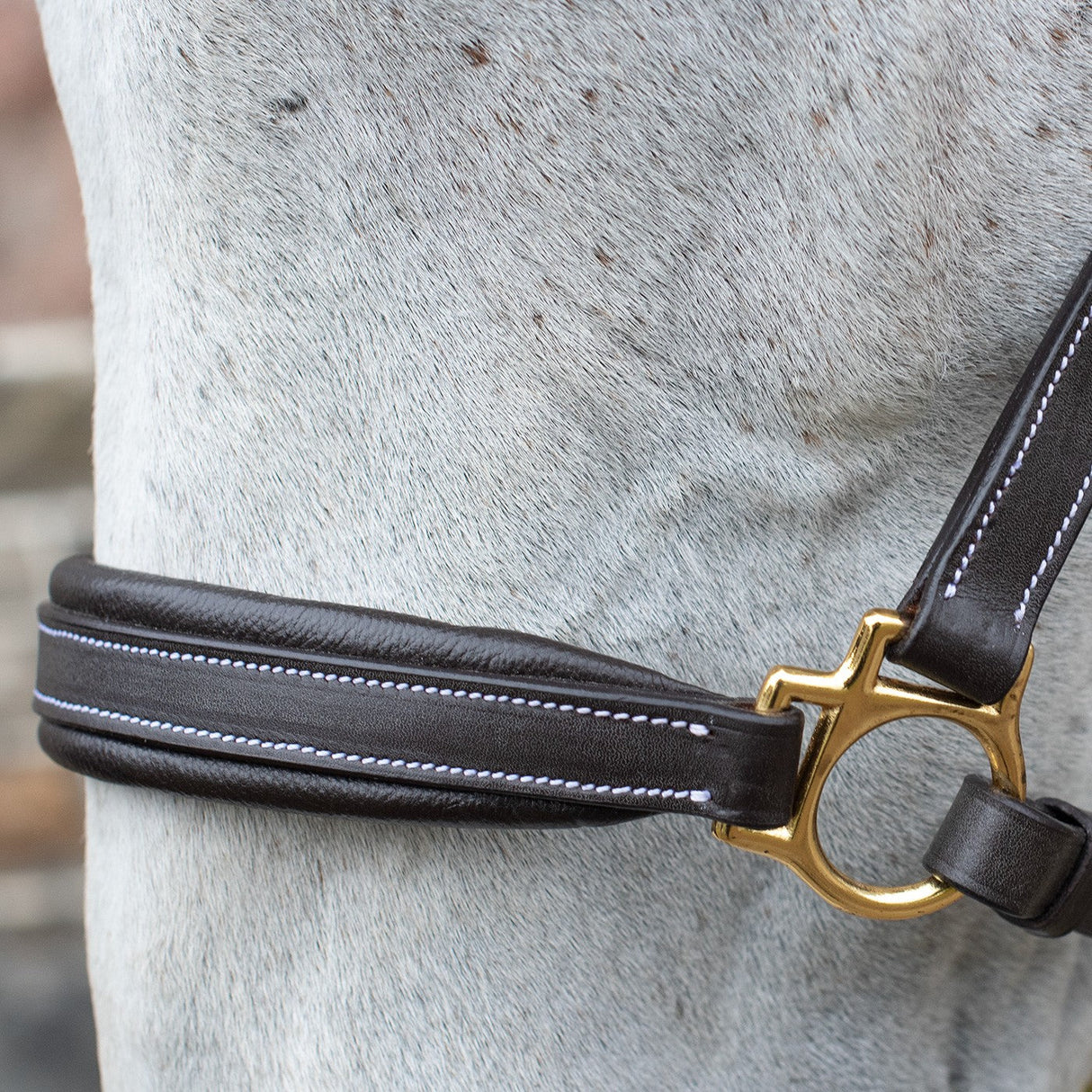 Val du Bois Comfort Soft Padded Leather Halter