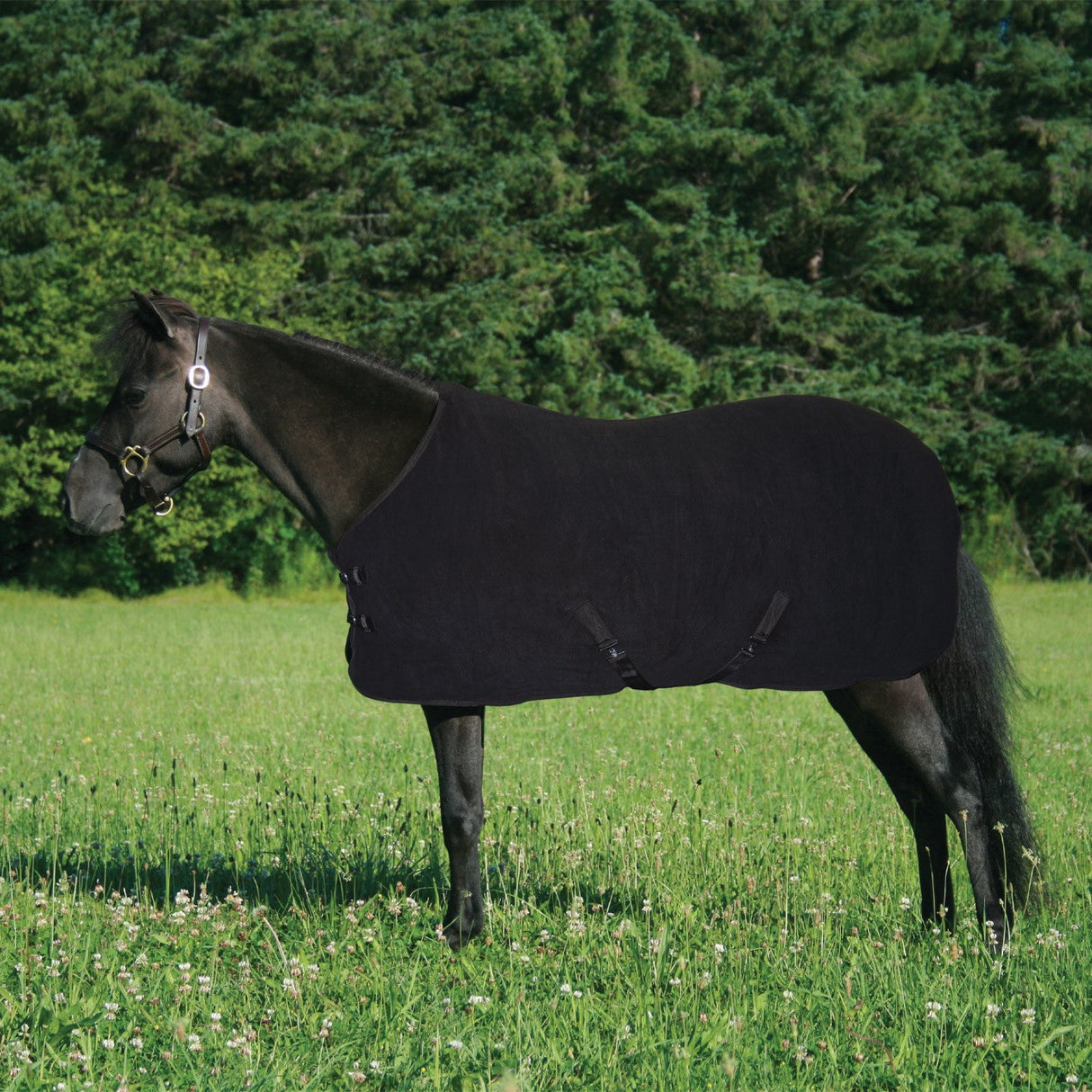 Supra Mini Fleece Cooler