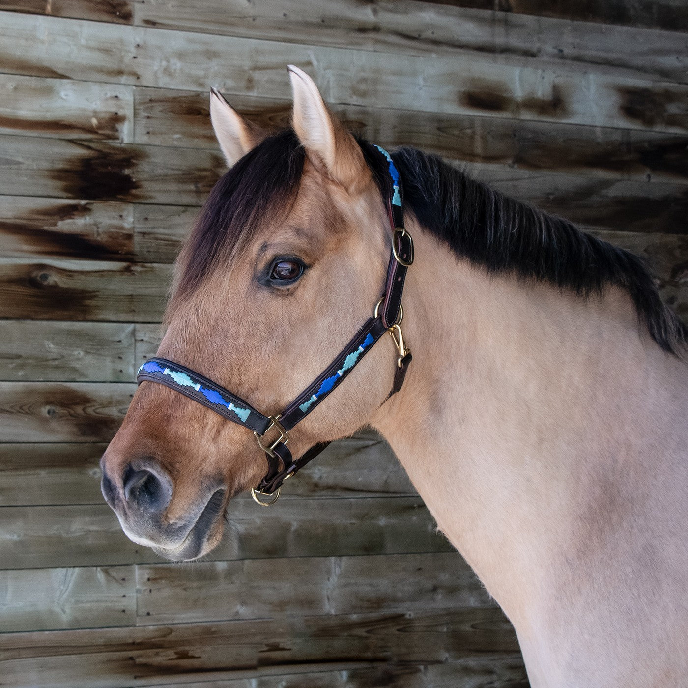 Val du Bois Leather Polo Halter
