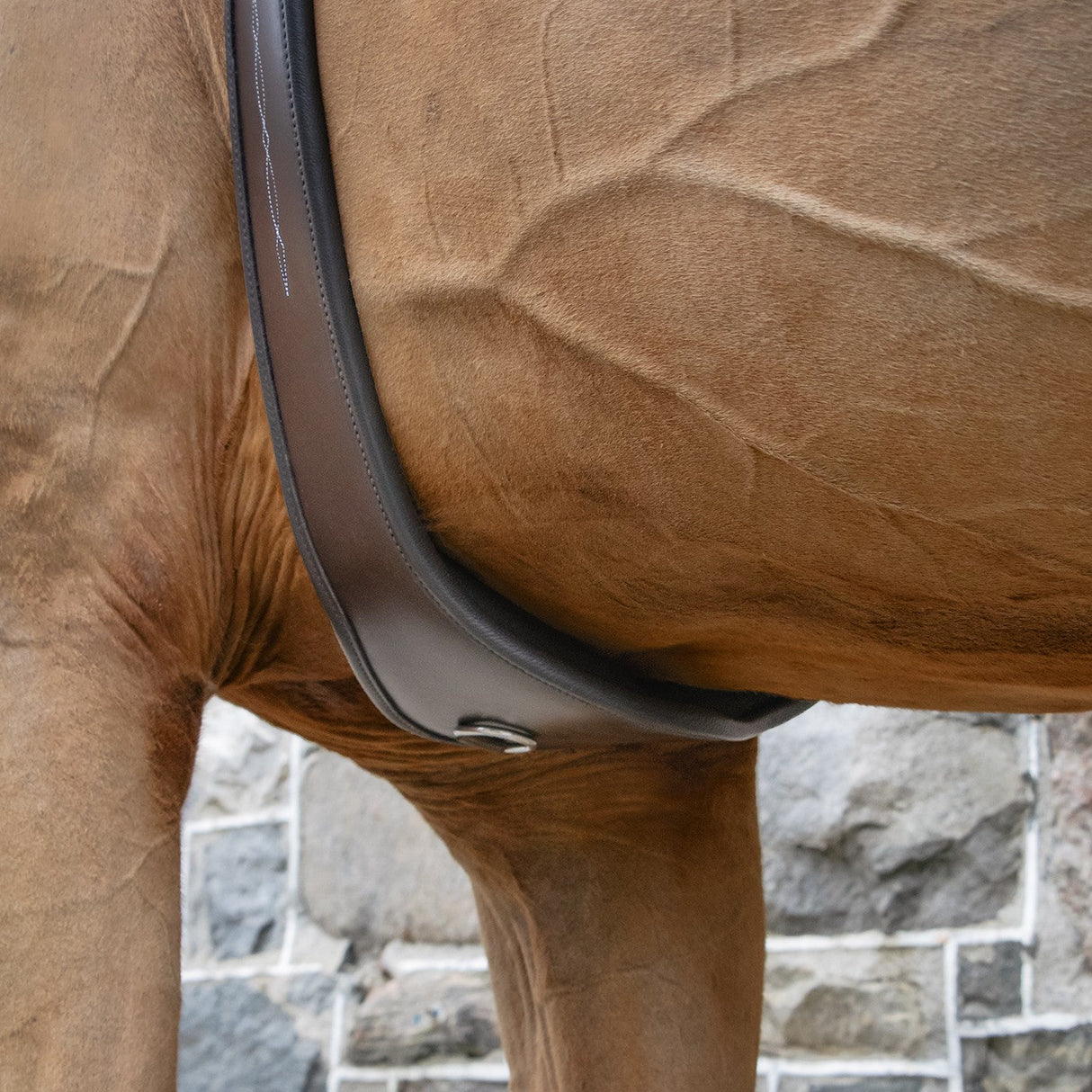 Mondega Sternum Relief Hunter Girth