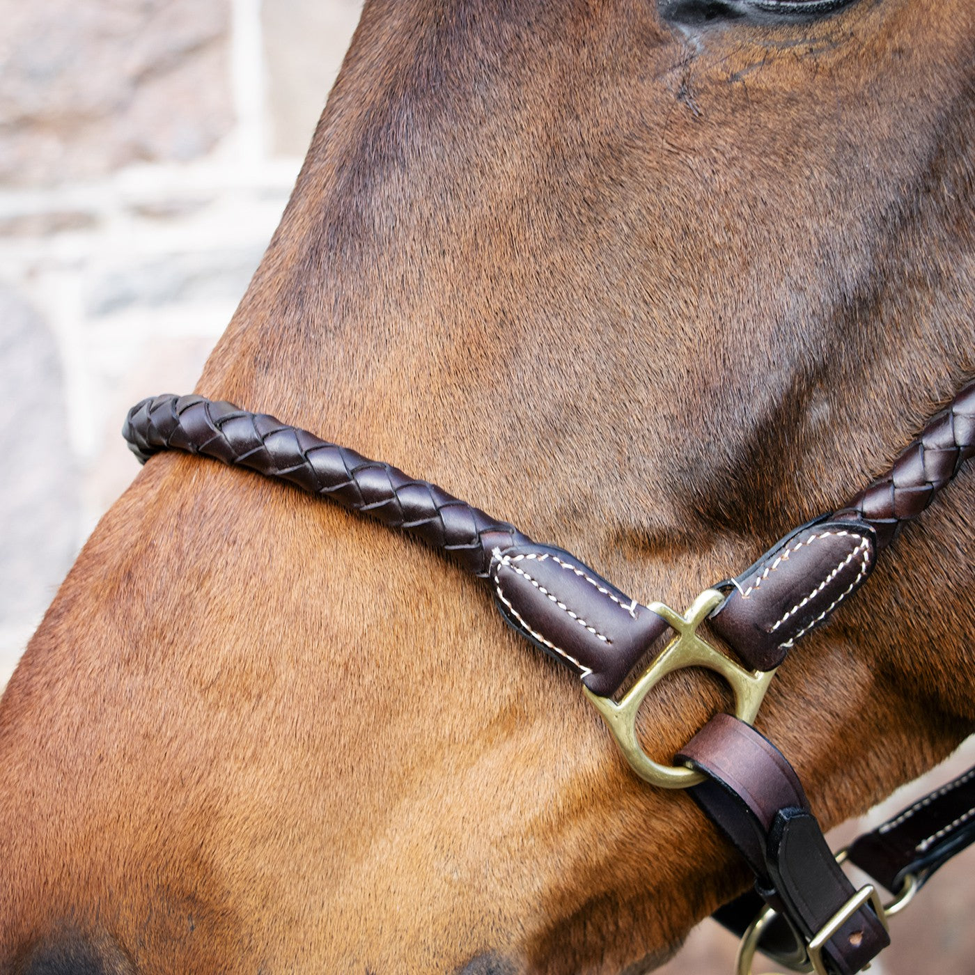 Val du Bois Braided Leather Halter