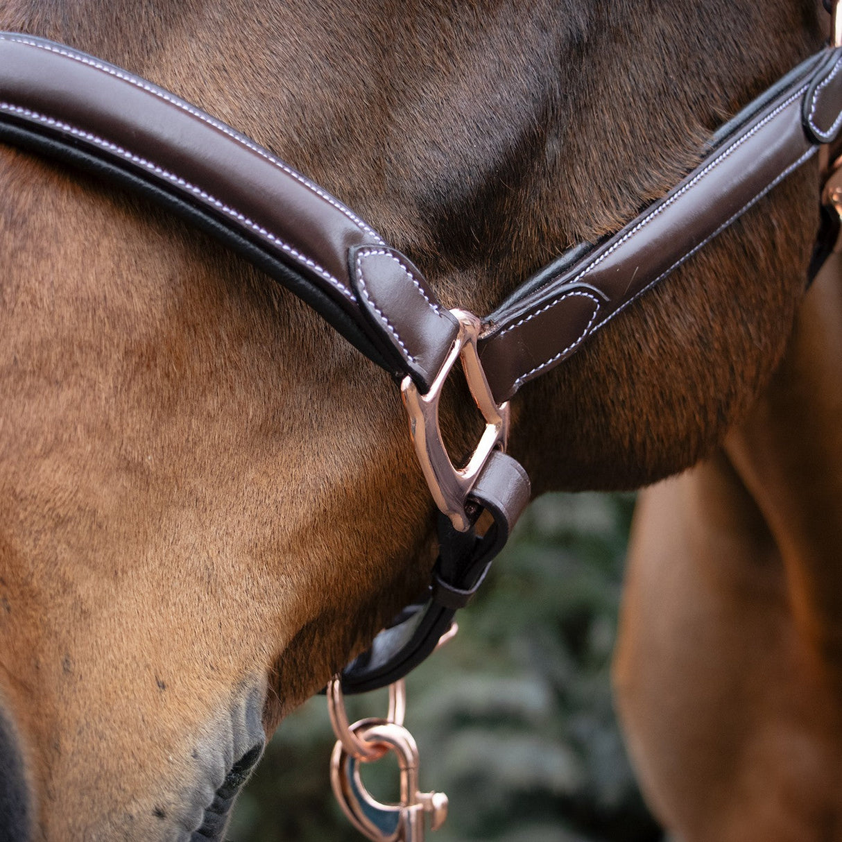 Val du Bois Rose Gold Raised Leather Halter