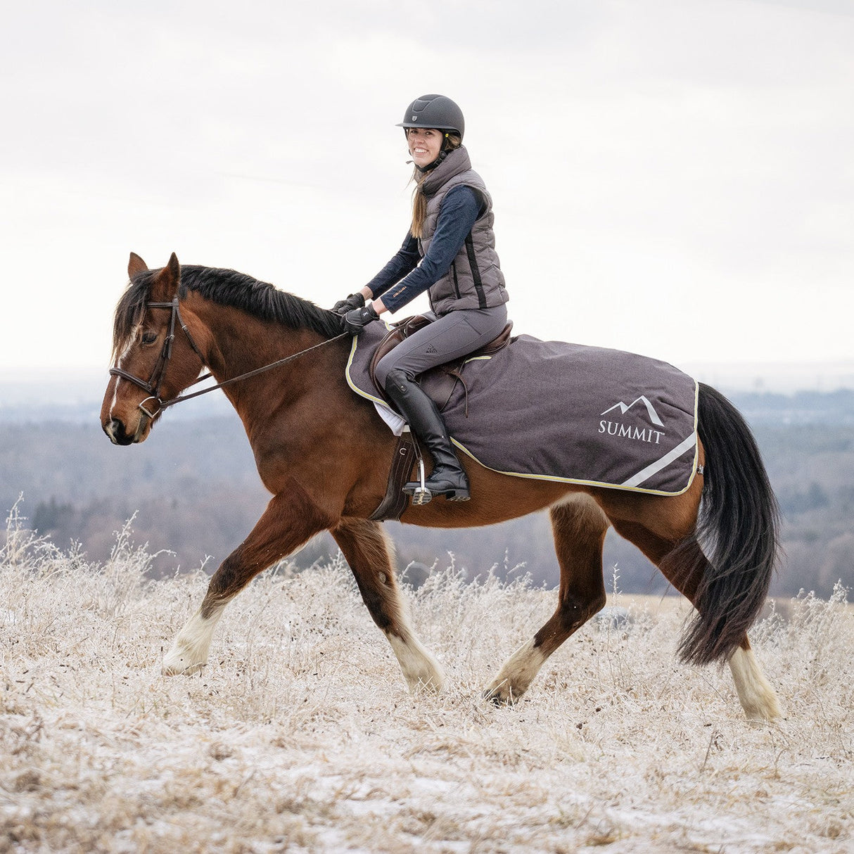 Summit North Exercise Sheet