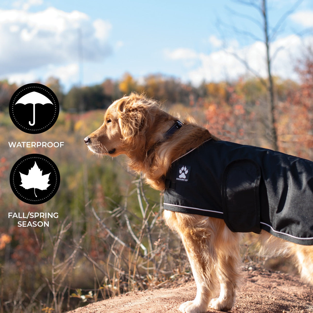 Shedrow K9 Harbor 2.0 Rain Coat