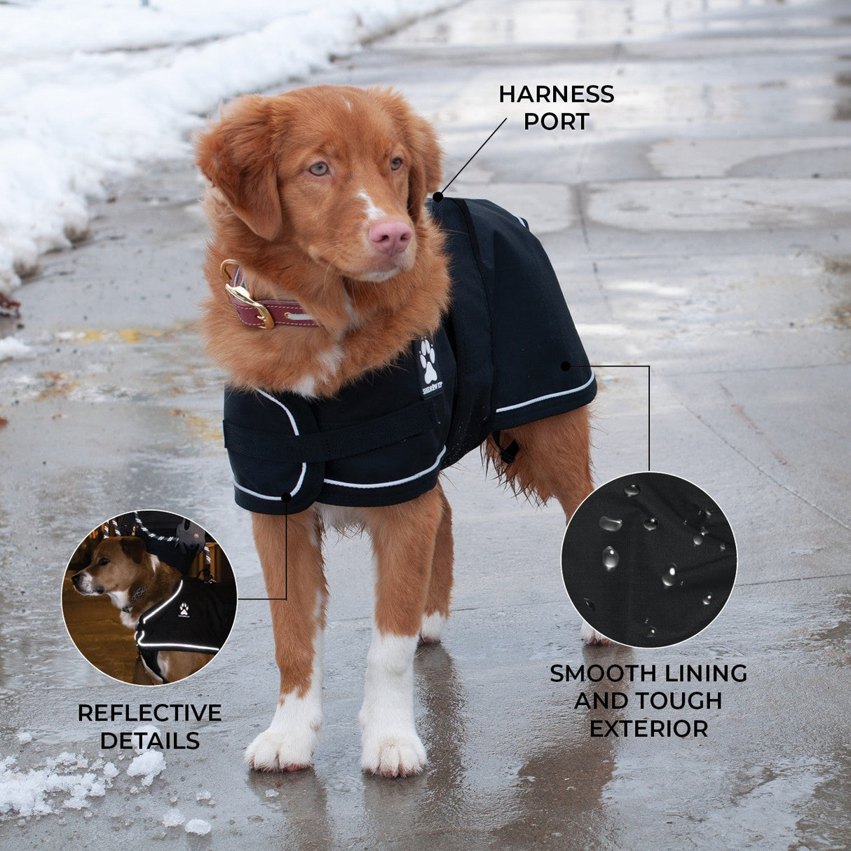 Shedrow K9 Harbor 2.0 Rain Coat