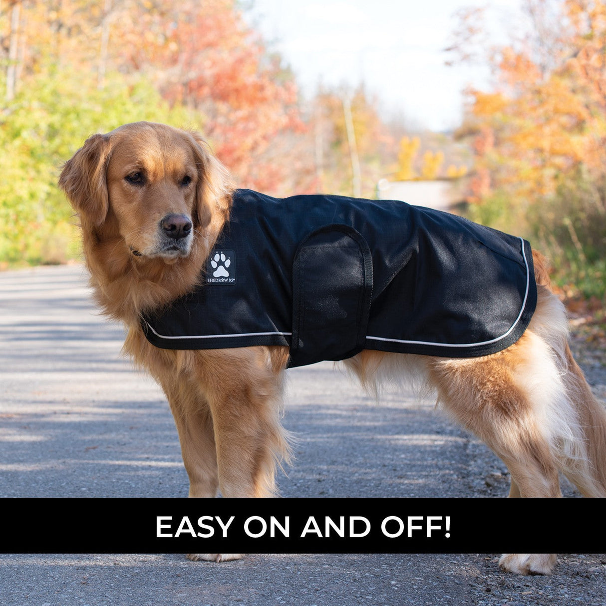 Shedrow K9 Harbor 2.0 Rain Coat
