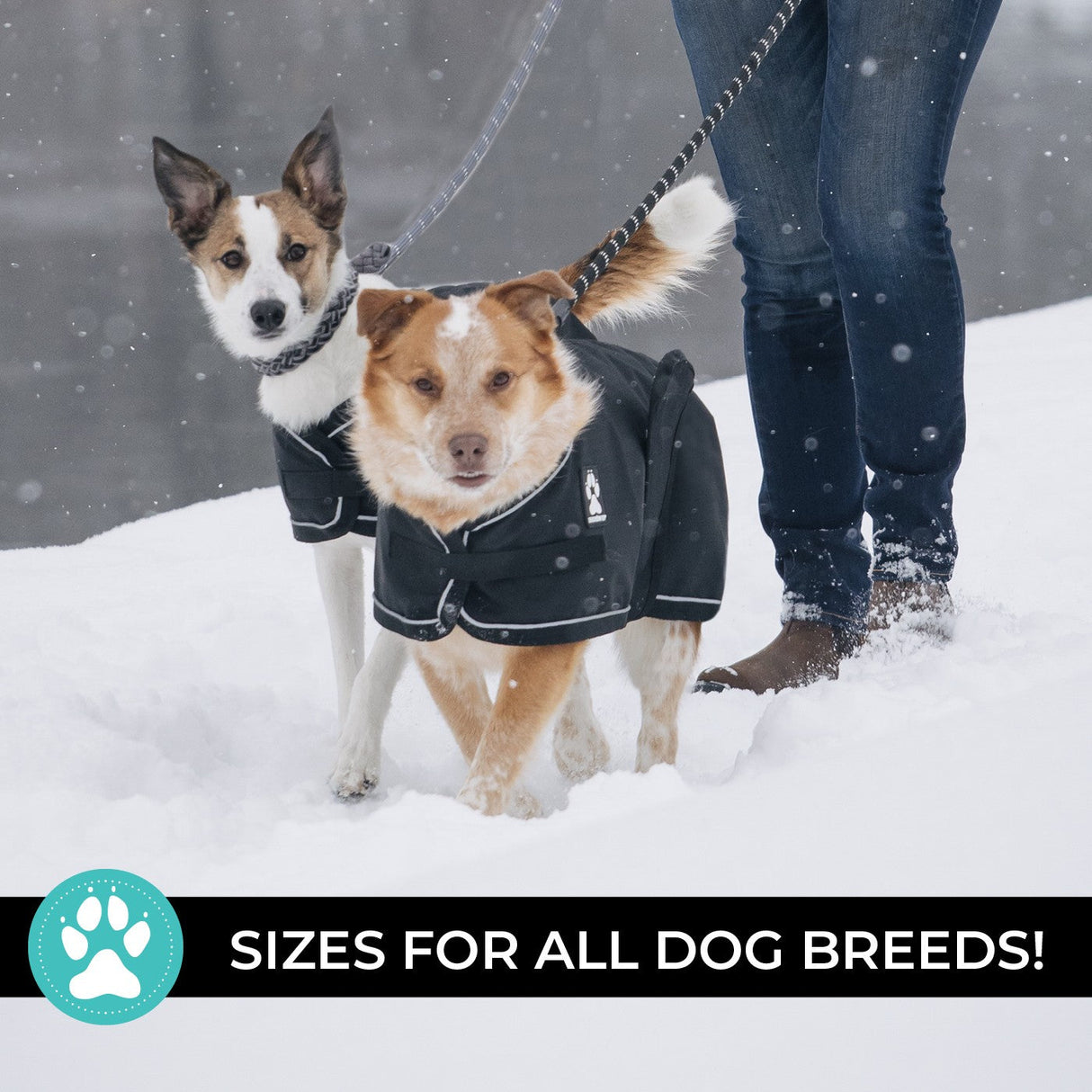 Shedrow K9 Harbor 2.0 Rain Coat